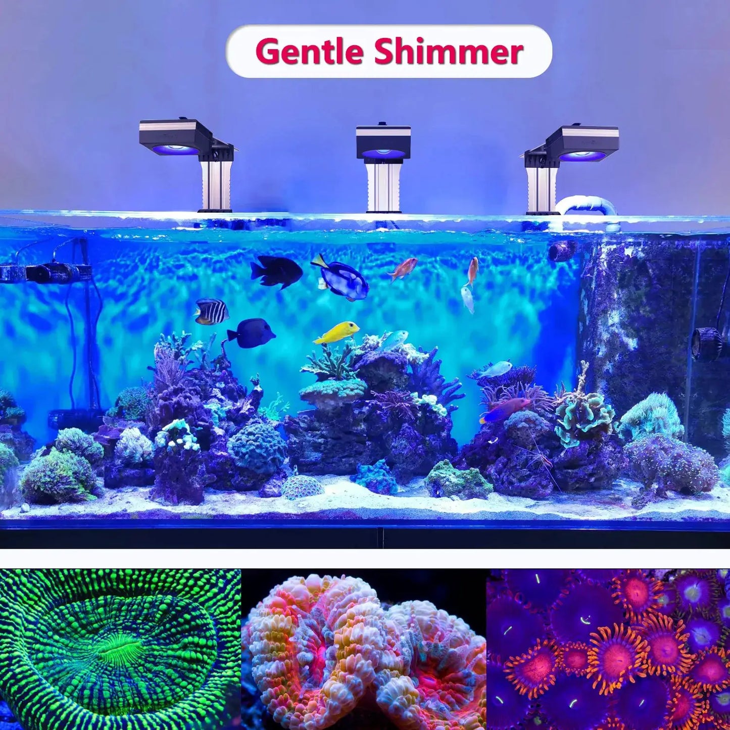 Led Aquarium Light | 400W Full Spectrum | App Control | 96 Inch Compatible