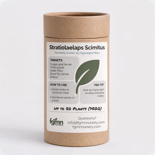 Stratiolaelaps Scimitus from PriceLows™