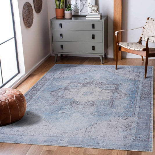 Aqua Rosman Washable Area Rug from PriceLows™