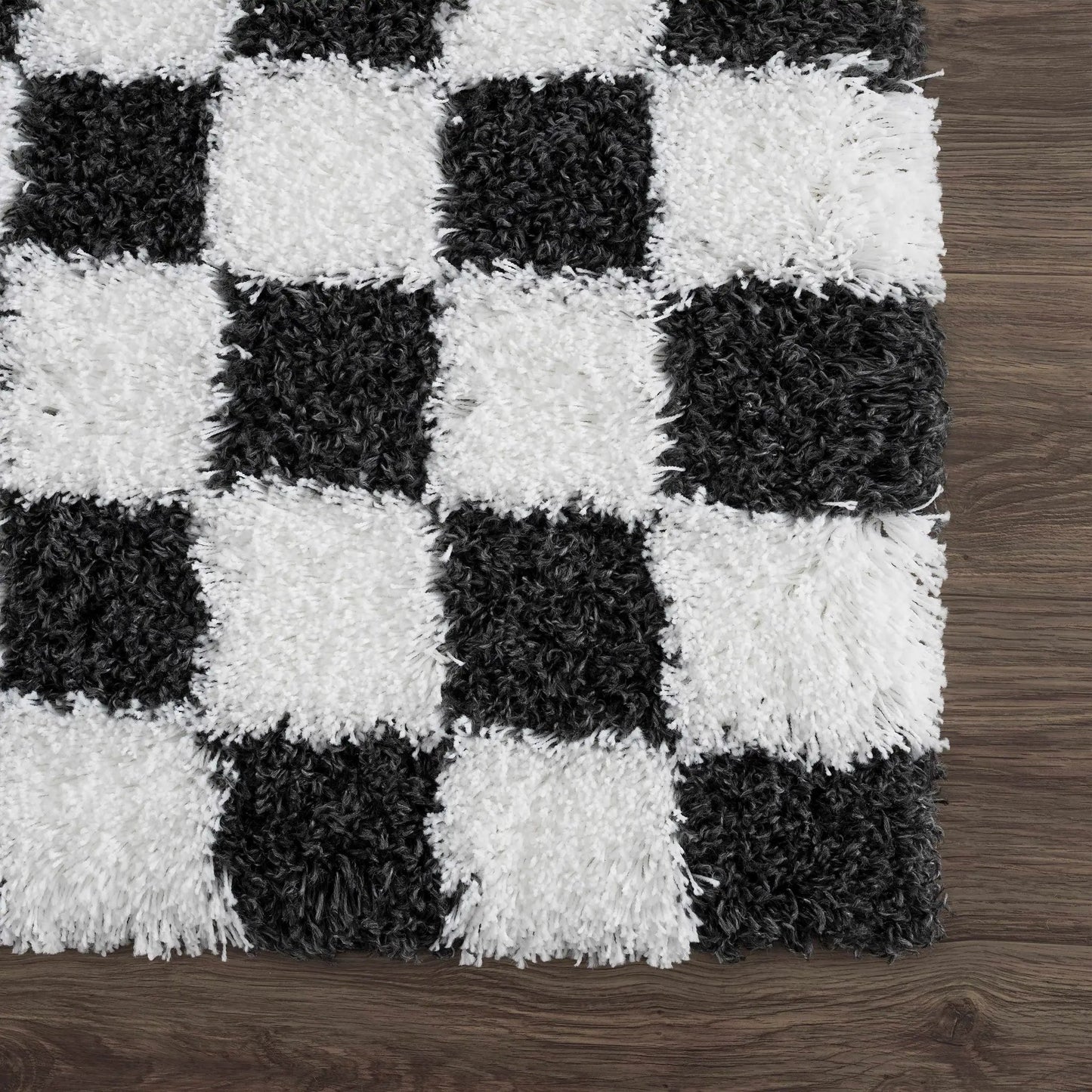 Atira Black & White Checkered Area Rug from PriceLows™