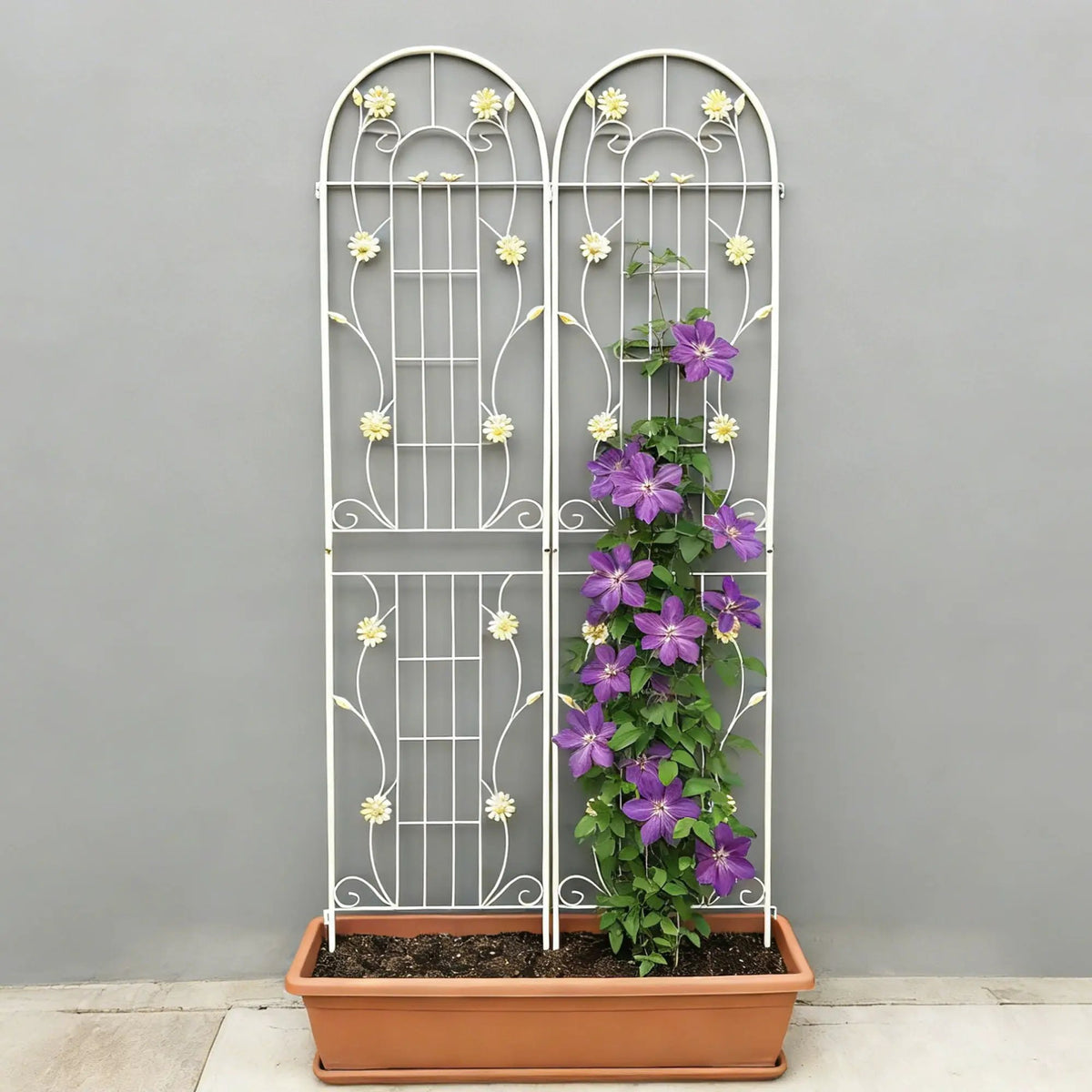 Metal Garden Trellis | Galvanized Steel | Powder Coated | 4 Piece Set