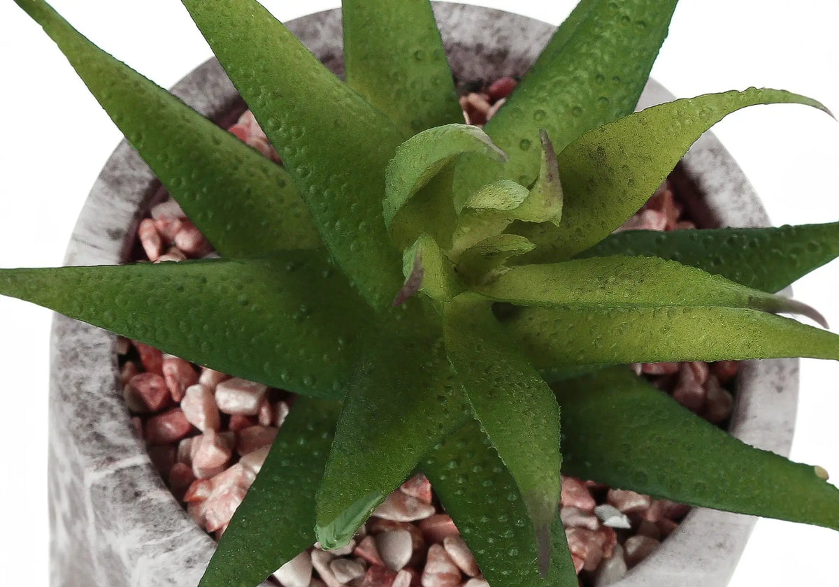 6 Inch Artificial Succulents | Set Of 2 | Grey Marble Pot | Indoor Faux Table Greenery