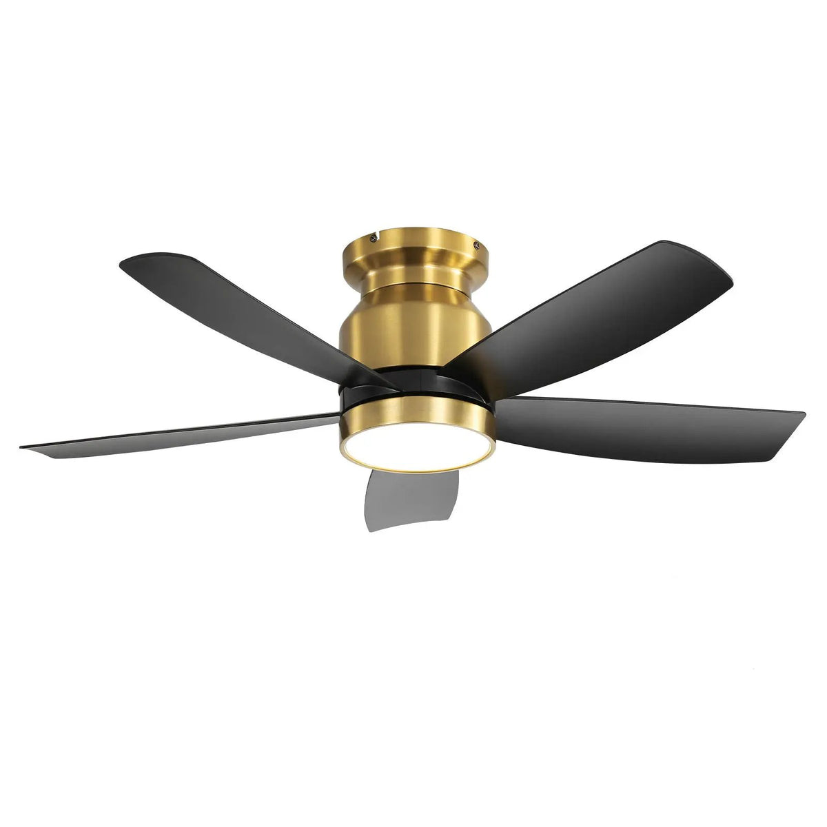 Flush Mount Ceiling Fan | 42 Inch Span | 22W 3CCT LED Light | DC Motor With Remote