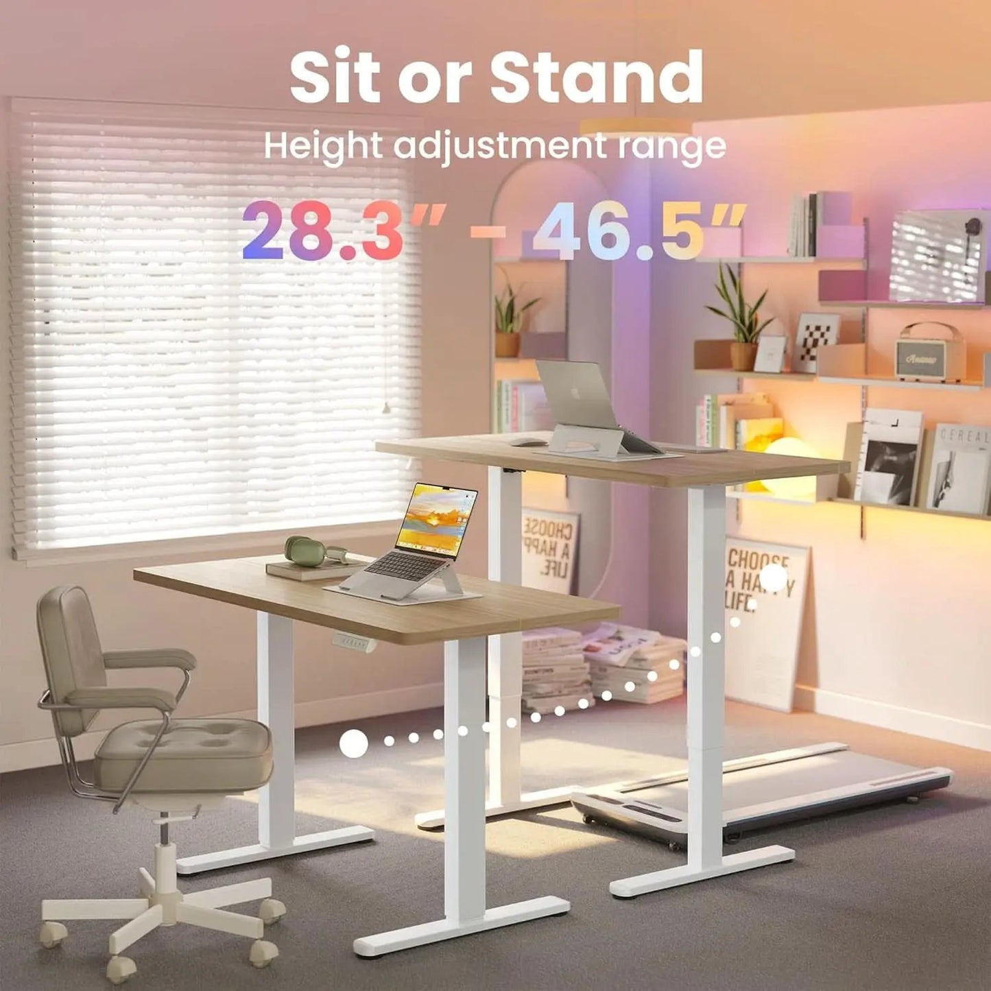 Adjustable Height Electric Standing Desk with Memory Settings from PriceLows™