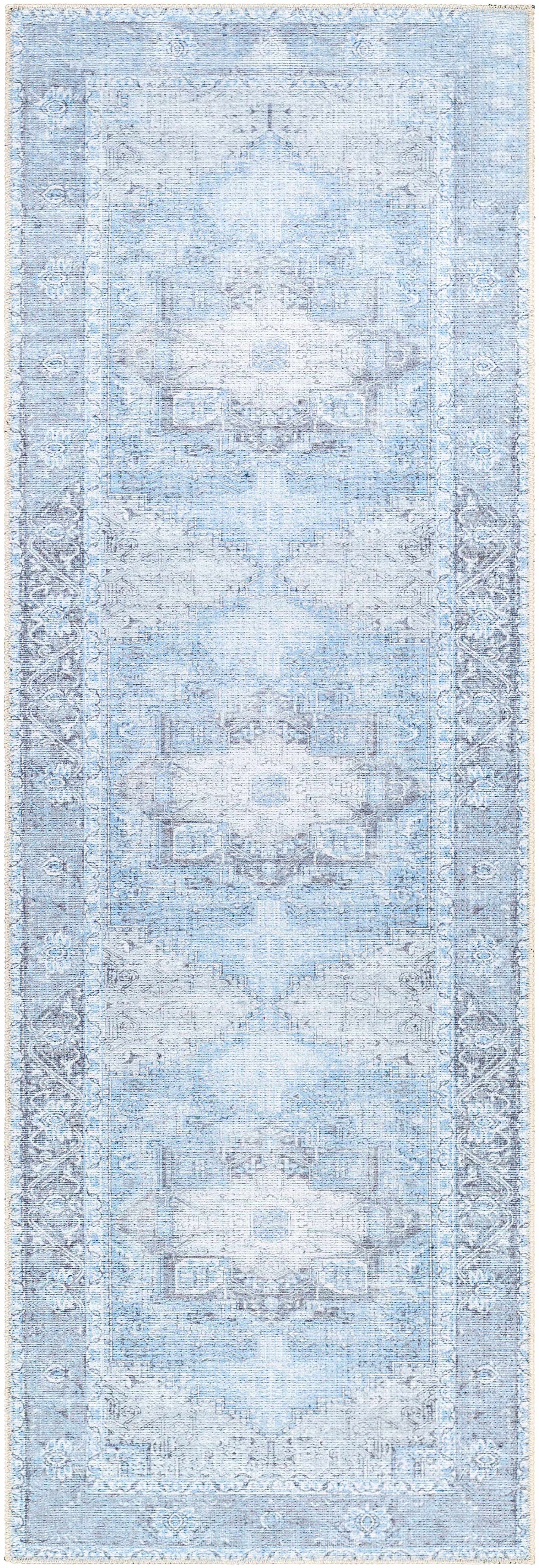 Aqua Rosman Washable Area Rug from PriceLows™