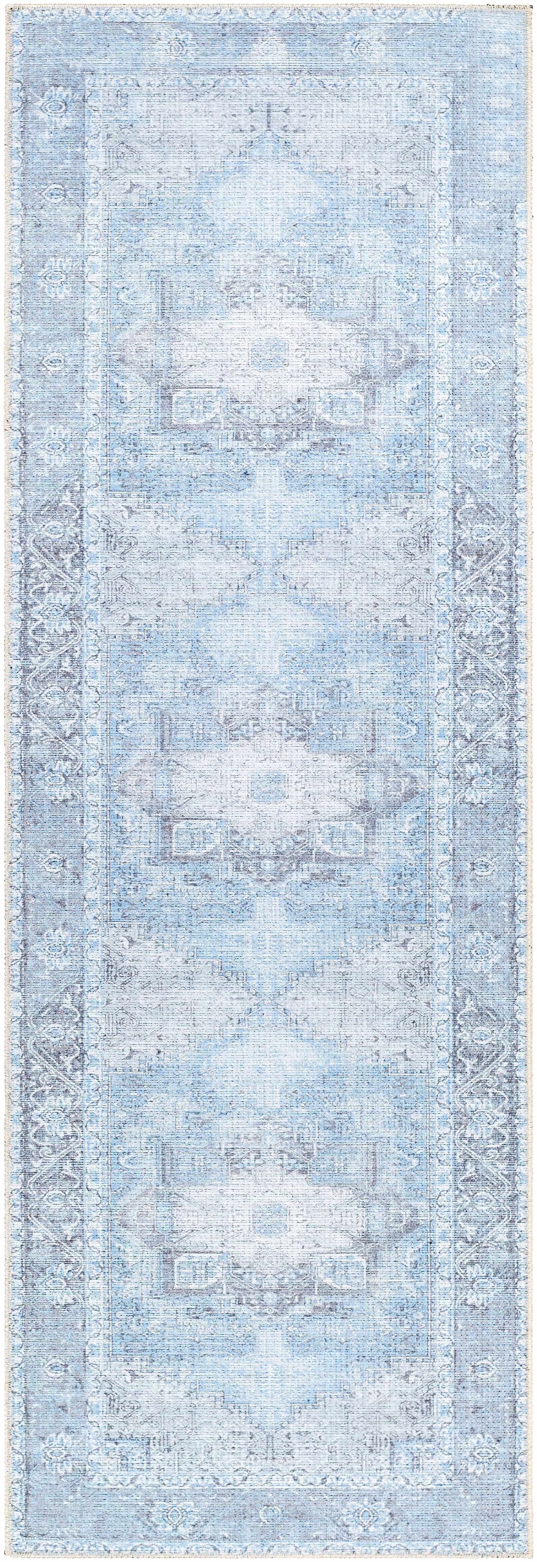 Aqua Rosman Washable Area Rug from PriceLows™