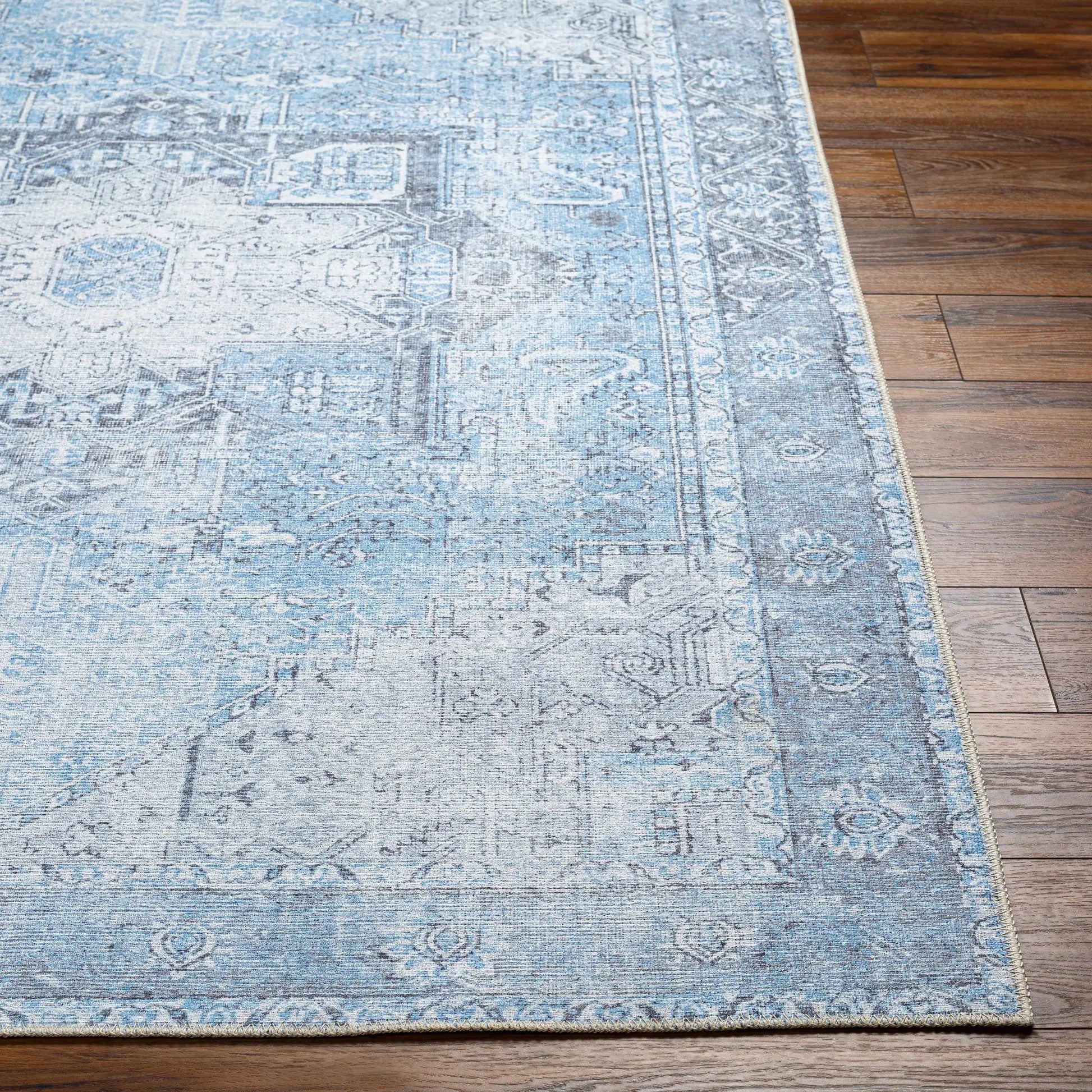 Aqua Rosman Washable Area Rug from PriceLows™