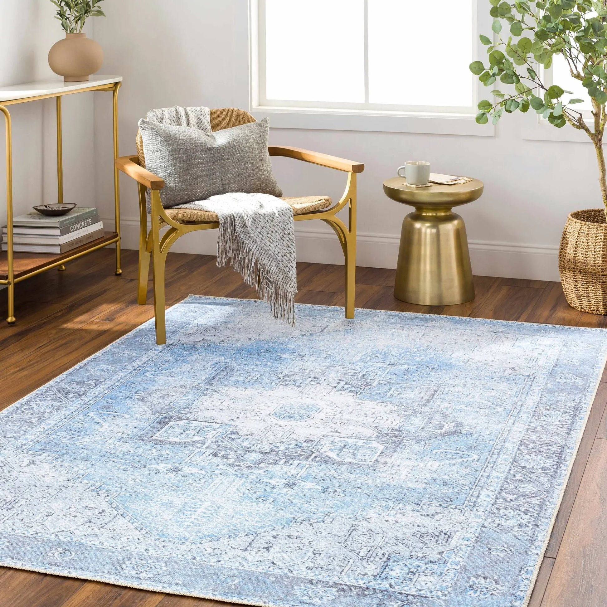 Aqua Rosman Washable Area Rug from PriceLows™