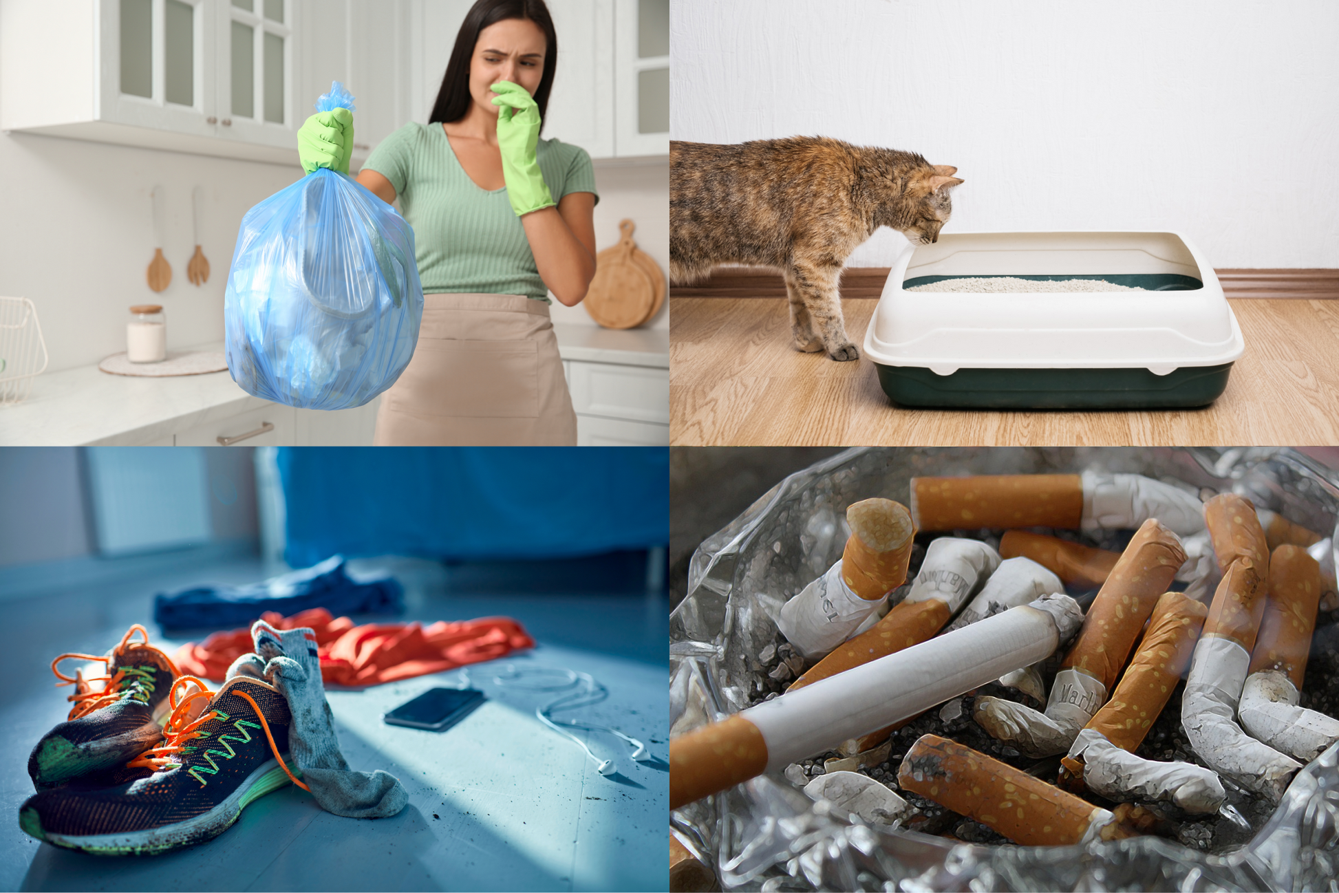 Socar Odor Neutralizer with Bio-Safe Technology from PriceLows™