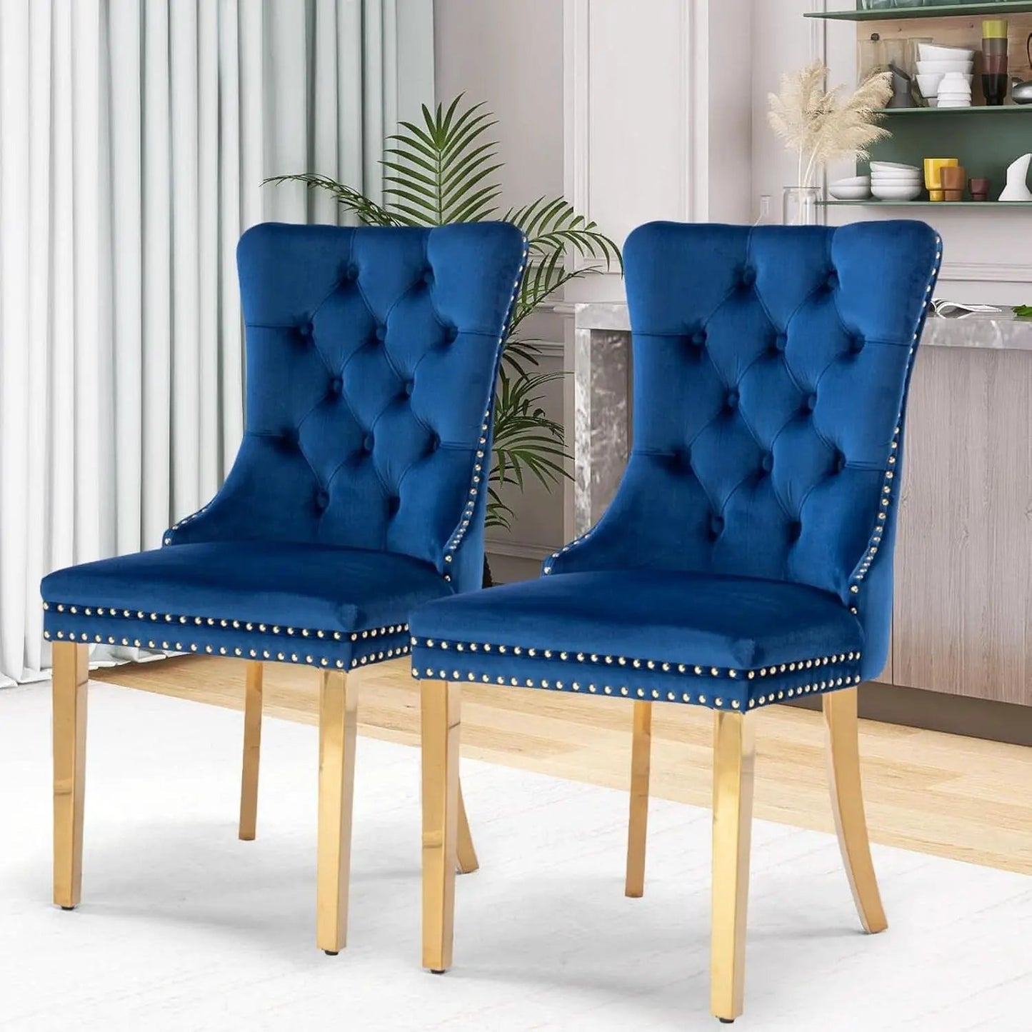 Blue Velvet Dining Chair Set Of 2 With Tufted Nailhead Trim from PriceLows™