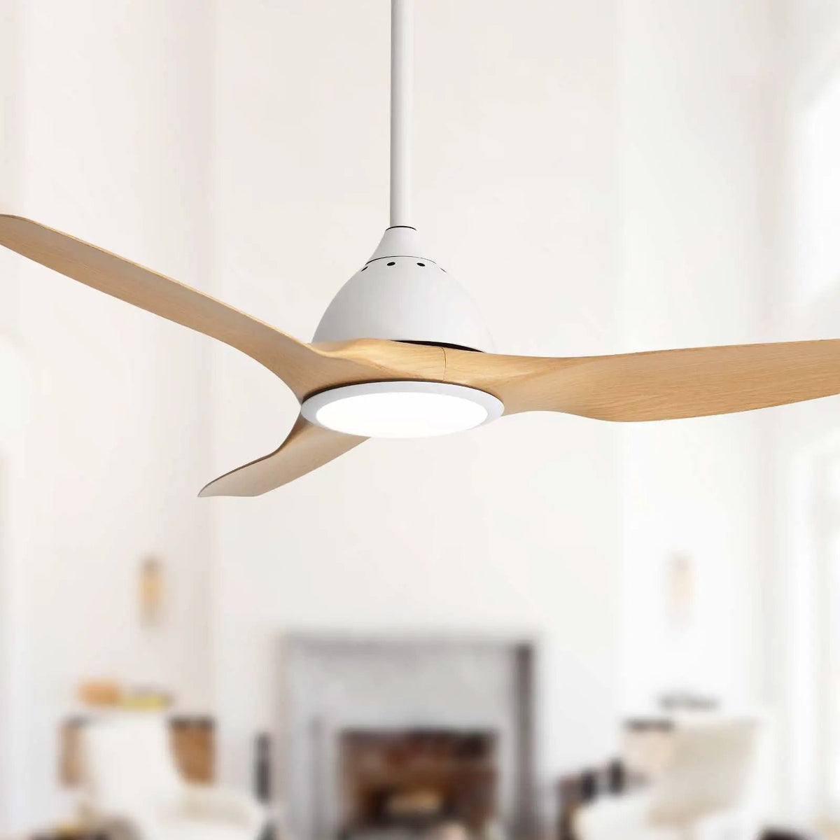 Bredoom Ceiling Fan | 52 Inch Span | Reversible DC Motor | LED Light And 6-Speed Remote