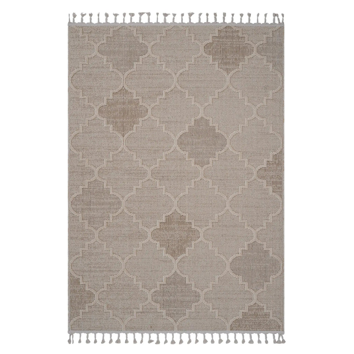 Guros Trellis Indoor Outdoor Rug | 74 x 48 Inch | Stain Resistant | Non-Shedding