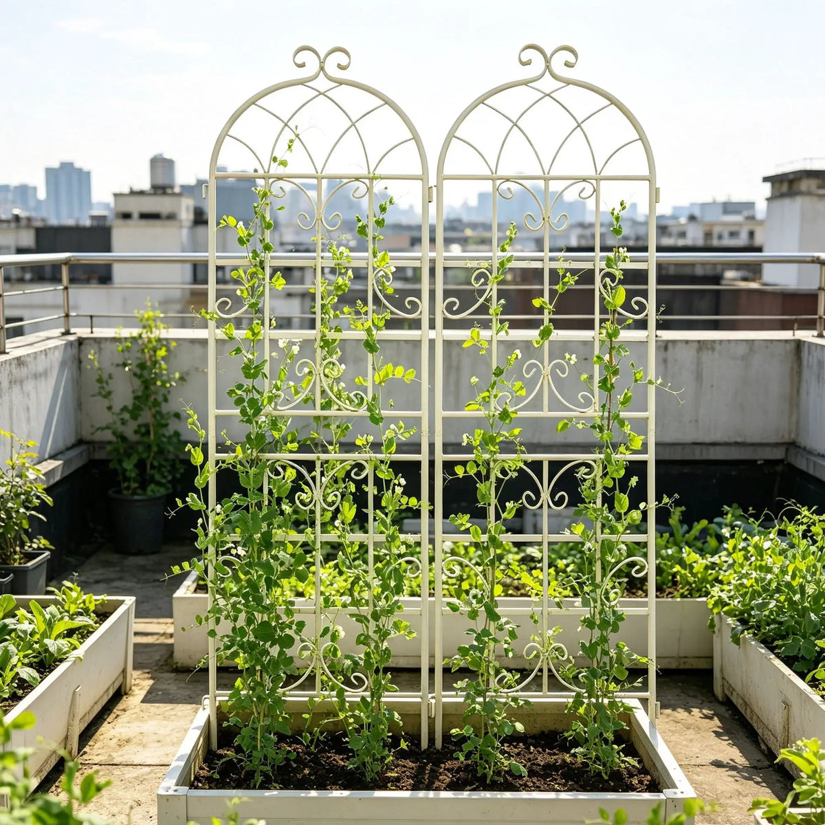 Metal Garden Trellis | Rustproof | 80 Inch Width | Single Or Double Use