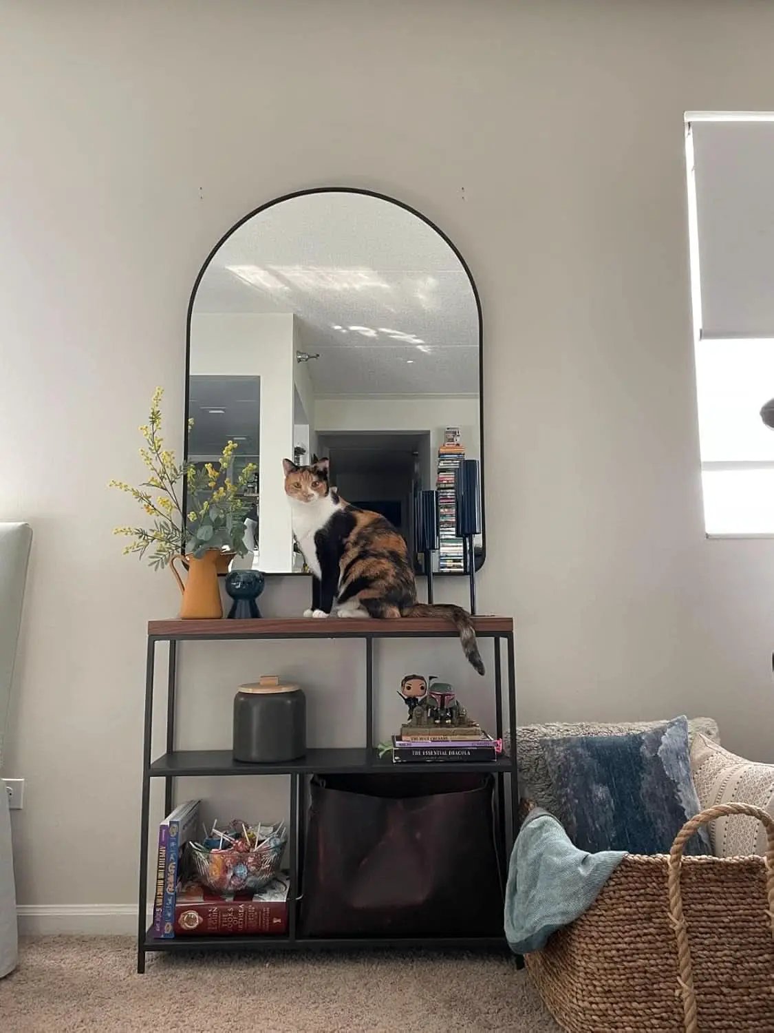 24x36 Inch Black Arched Wall Mounted Mirror With Brushed Metal Frame For Bathroom Vanity from PriceLows™