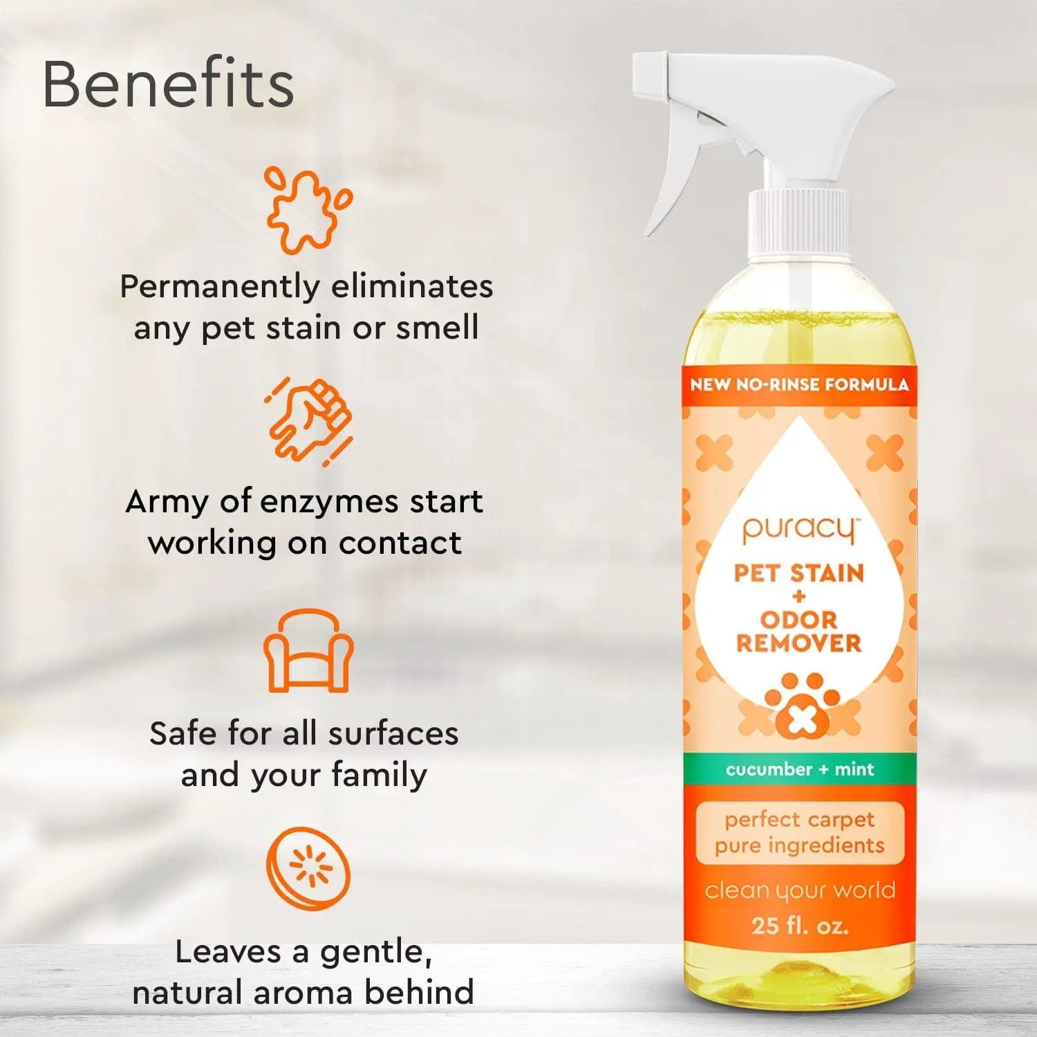 Pet Stain & Odor Remover from PriceLows™