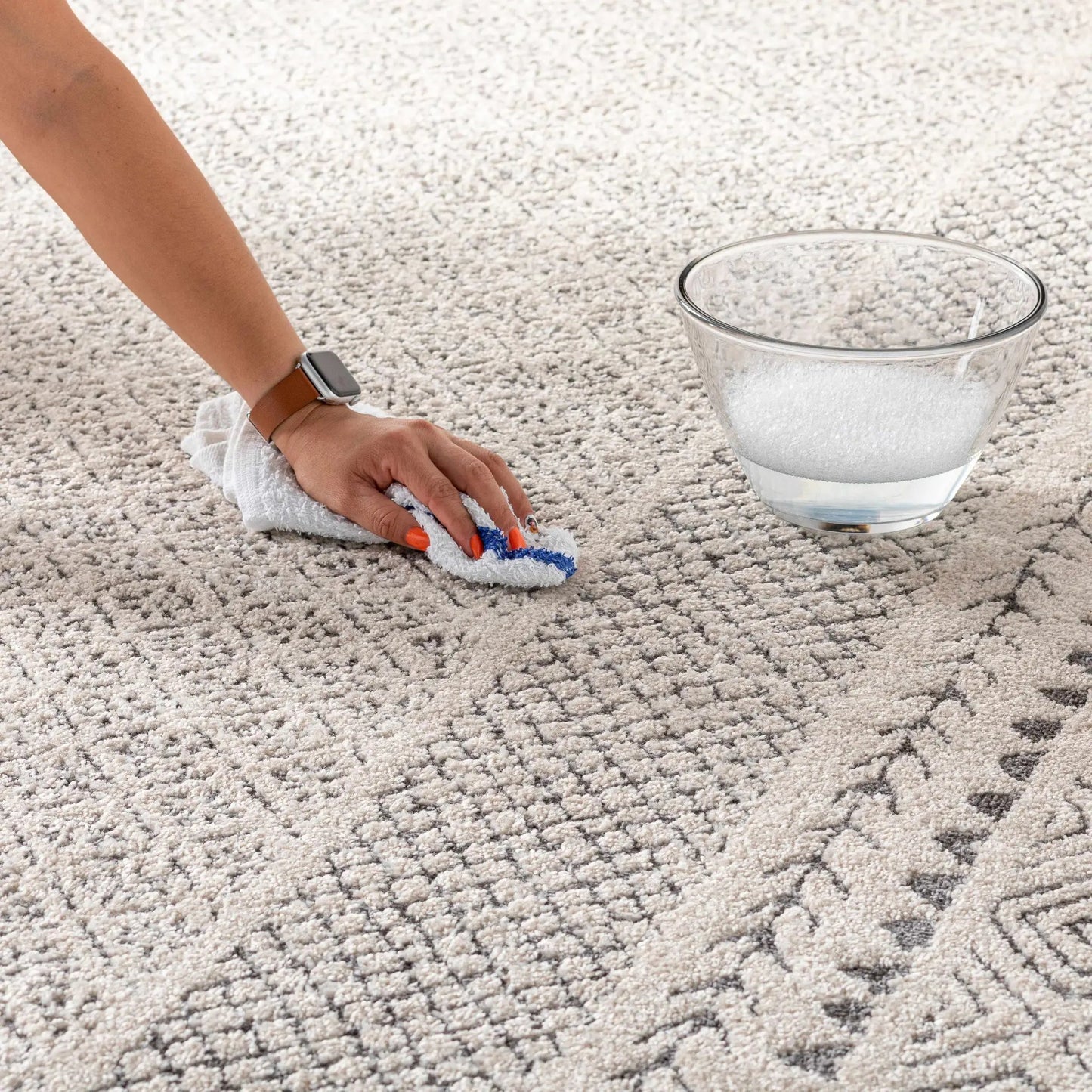 Burdette Soft Neutral Rug from PriceLows™