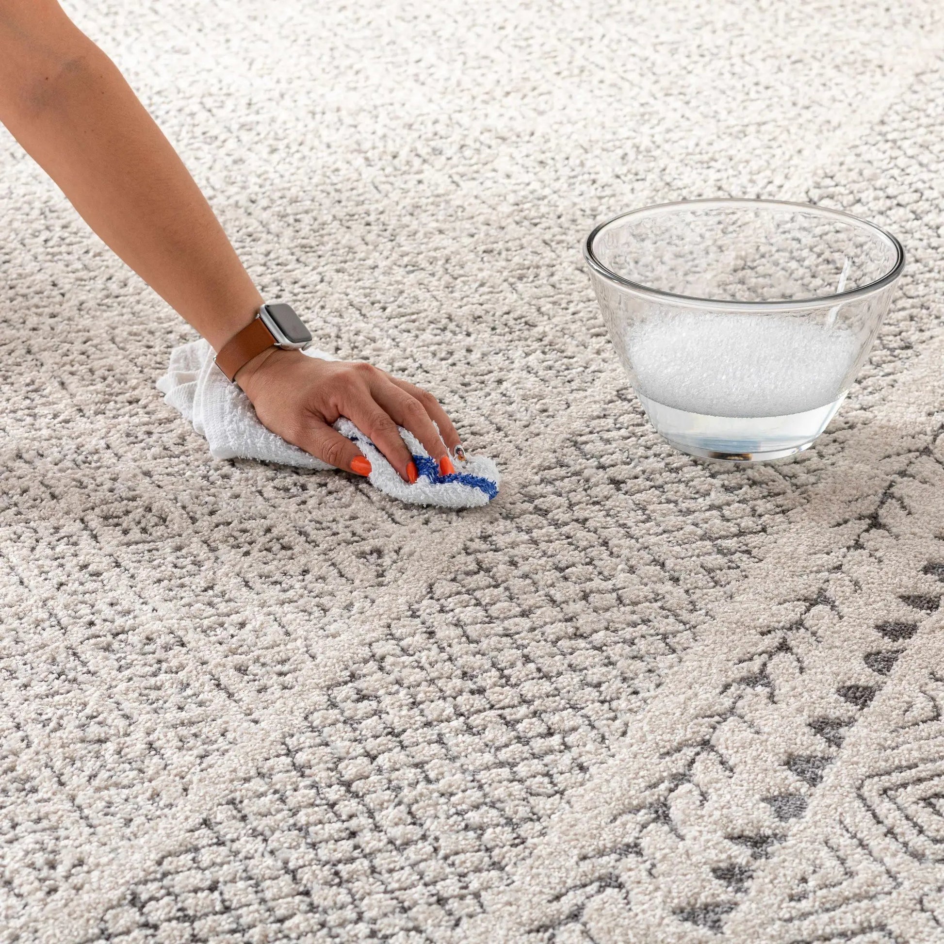 Burdette Soft Neutral Rug from PriceLows™