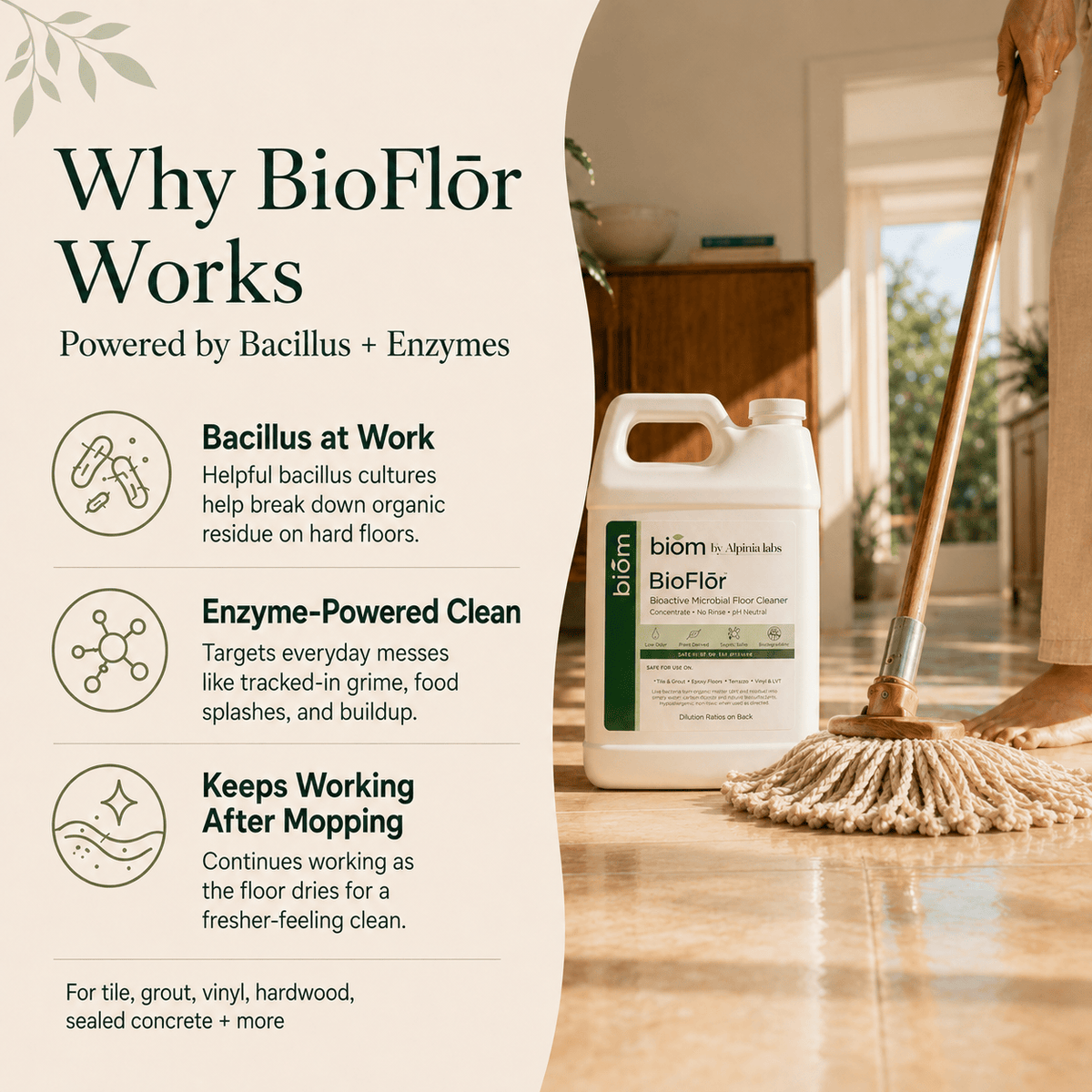 BioFlōr Bioactive Microbial Floor Cleaner Concentrate | 1 oz | Home Use | Home