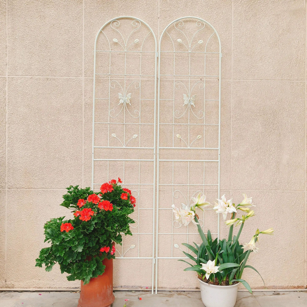 Garden Metal Trellis | Rustproof | Extendable 80 Inch Width | Galvanized Powder-Coated Pipe