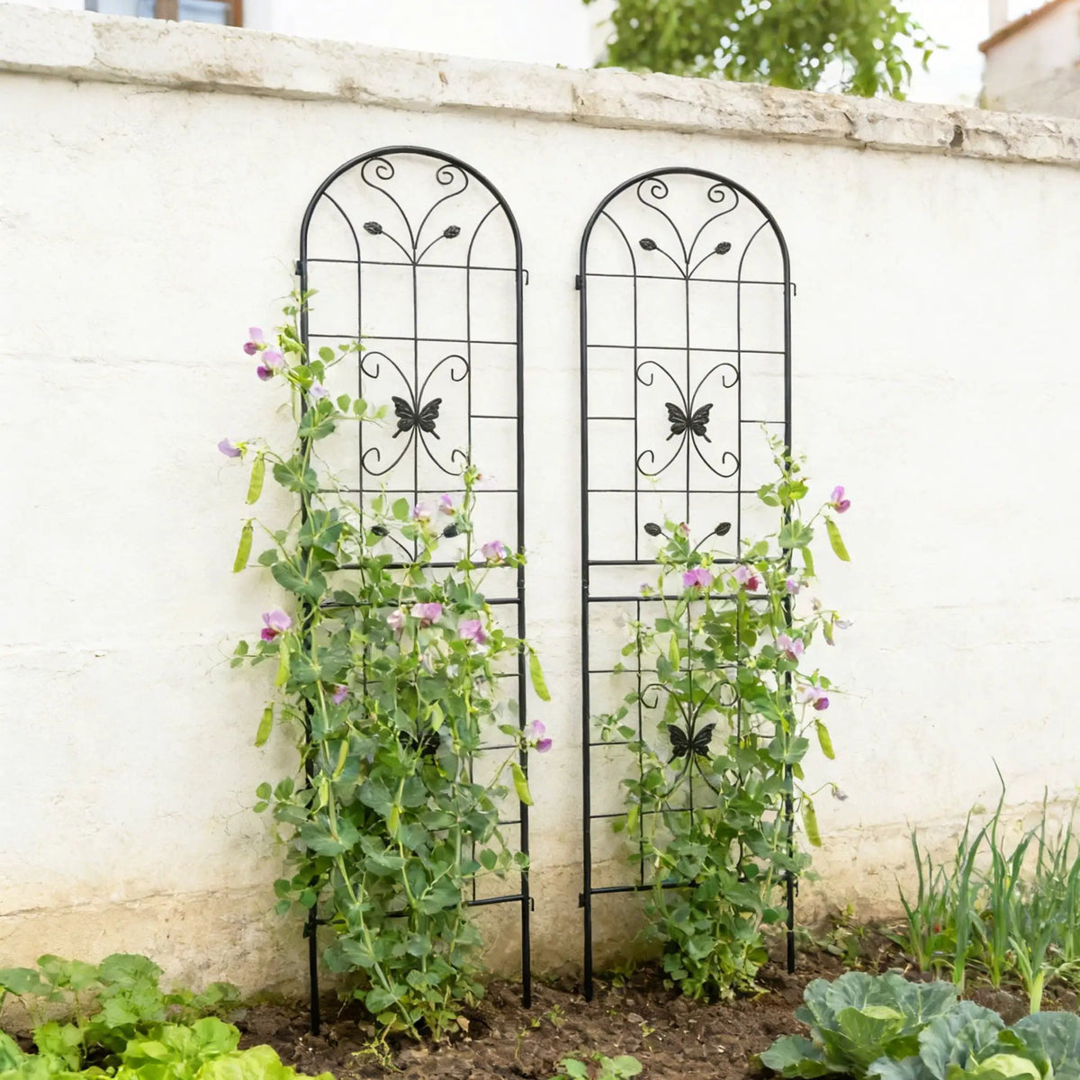 Garden Metal Trellis | Rustproof | Extendable 80 Inch Width | Galvanized Powder-Coated Pipe