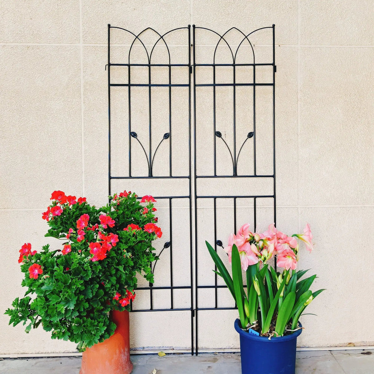 Metal Garden Trellis | Rustproof | 36.5 Inch Width | 71 Inch Height