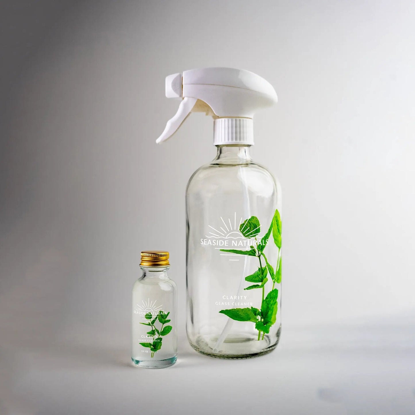 Clarity Glass Cleaner Kit from PriceLows™
