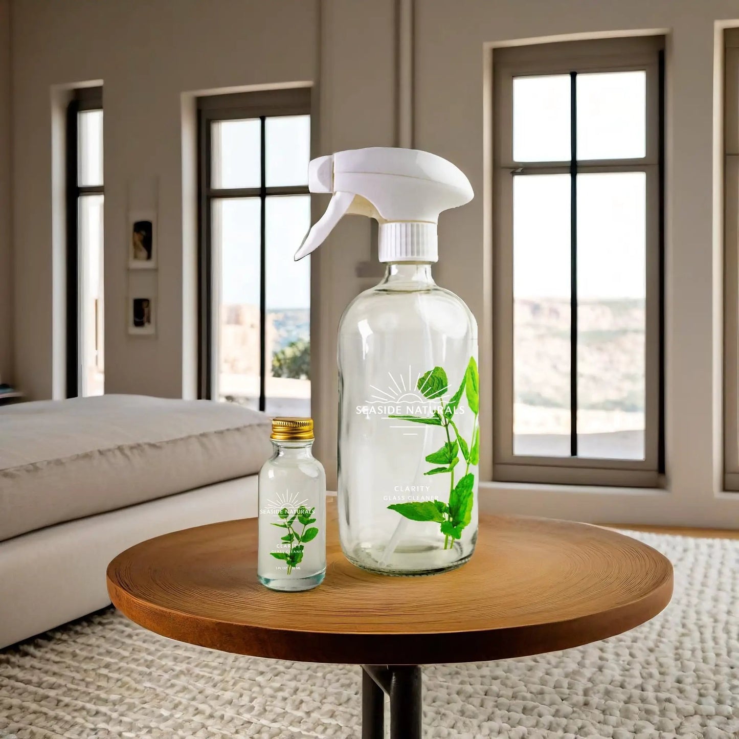 Clarity Glass Cleaner Kit from PriceLows™