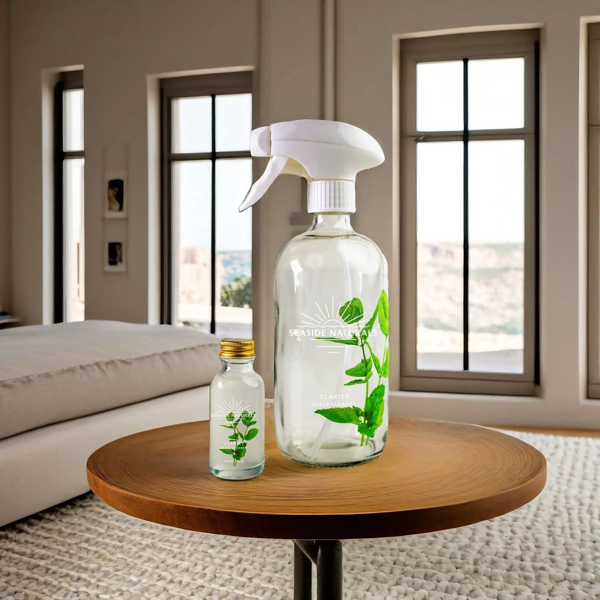 Clarity Glass Cleaner Kit from PriceLows™