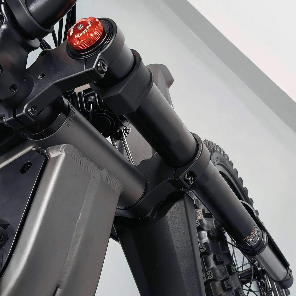 Electric Dirt Bike | Coswheel R19 72V 40AH 6000W | Multifunction Display | Removable Battery