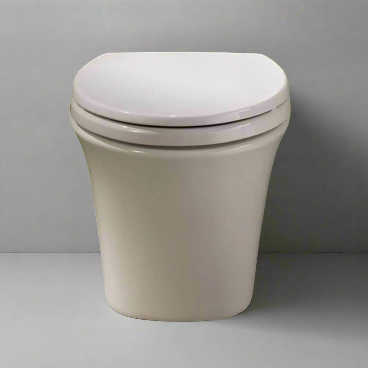 TOTO AP Dual Flush Toilet | Elongated Chair Height | In-Wall Tank System | Wall-Hung Design