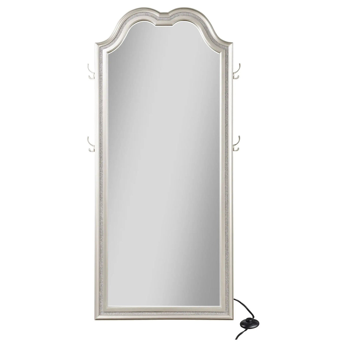 Evangeline Full Length LED Light Floor Mirror Silver | 35.75 x 2 x 80 in | Glass | Oak