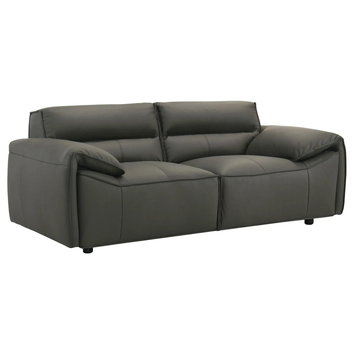 Buxton Top Grain Leather Upholstered Loveseat Graphite | 73.5 x 37.5 x 29.5 in | Leather | Living Room