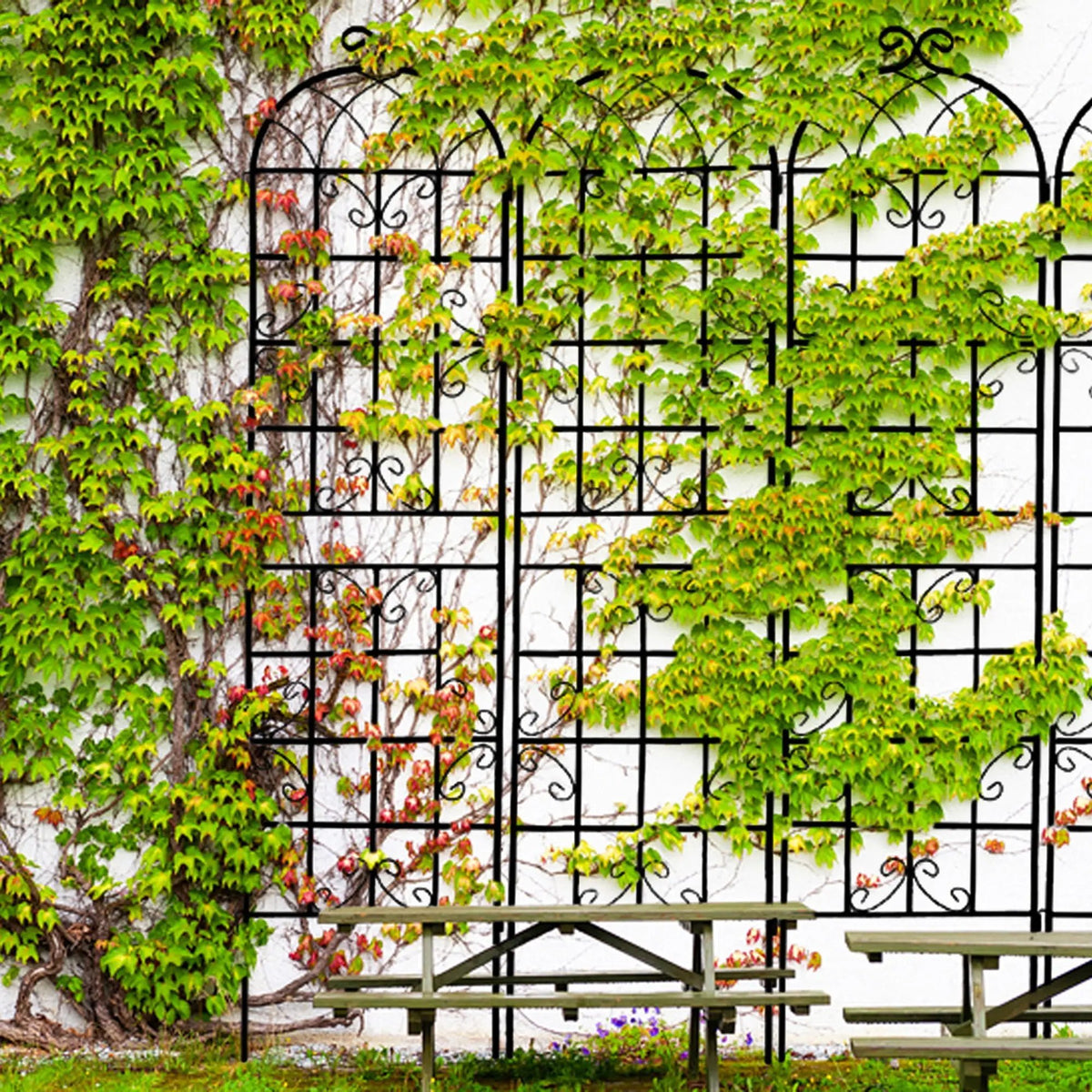Metal Garden Trellis | Rustproof | 80 Inch Width | Single Or Double Use