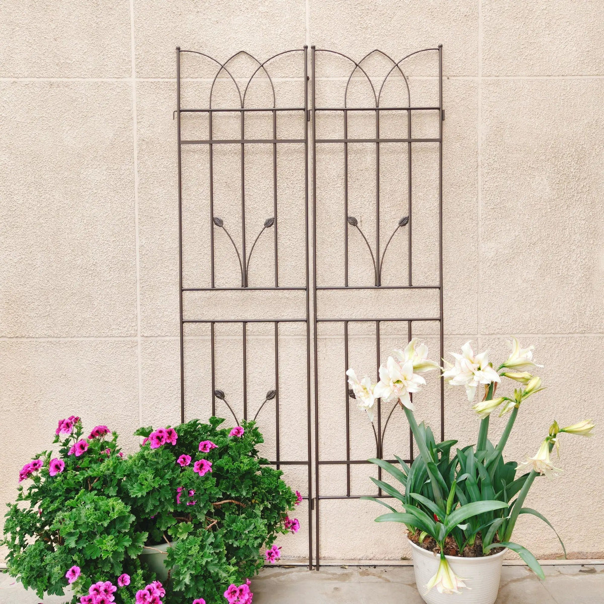 Metal Garden Trellis | Rustproof | 36.5 Inch Width | 71 Inch Height
