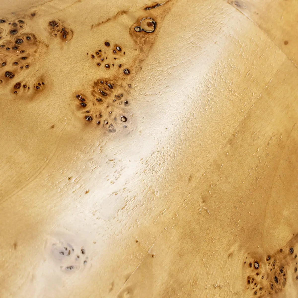 Nebula Pillar Side Table | Burl Wood Veneer | 29.5 Inch Height | Side Table Or Plinth