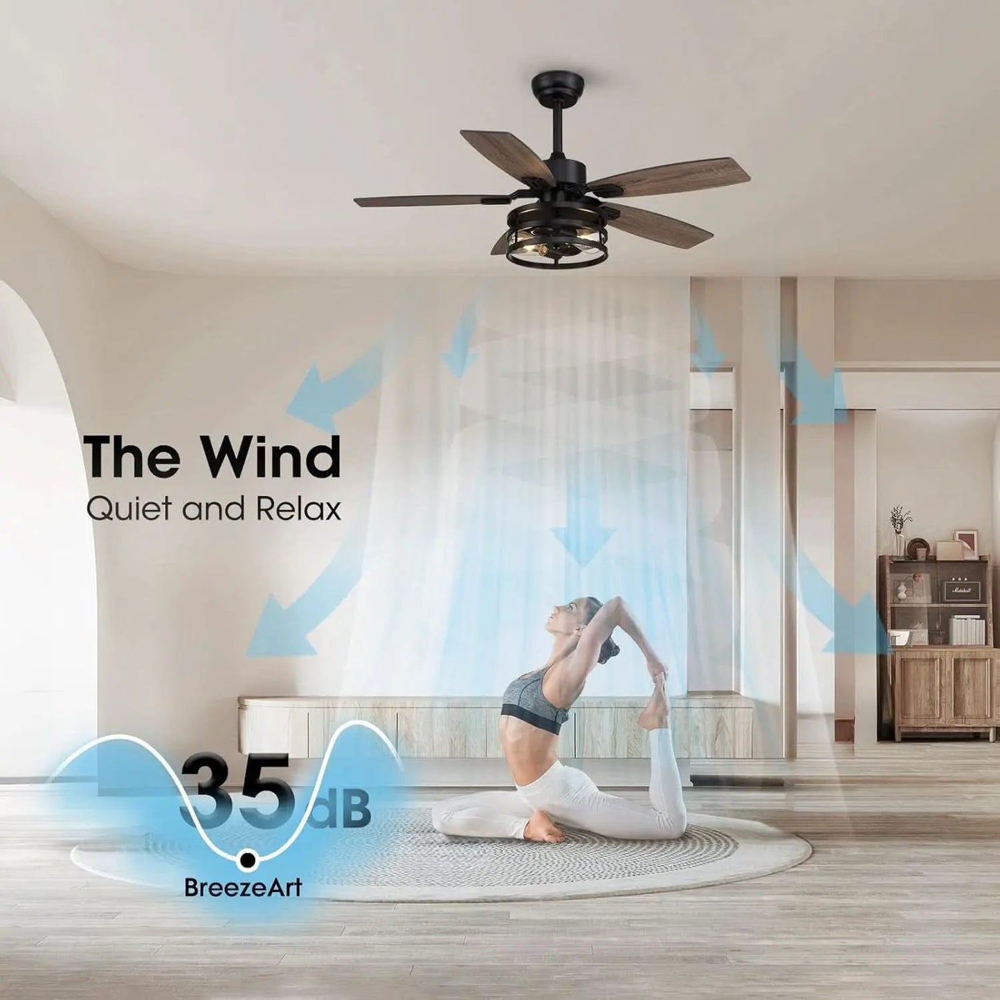 42 Inch Caged Ceiling Fan With Remote Control For Indoor And Outdoor from PriceLows™