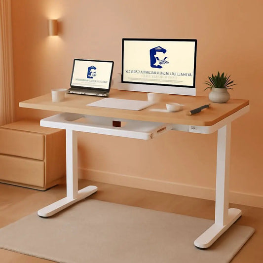 48 Inch Electric Standing Desk With USB Port And Drawers from PriceLows™