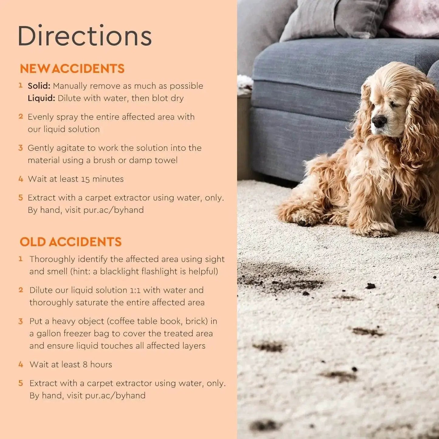 Pet Stain & Odor Remover from PriceLows™