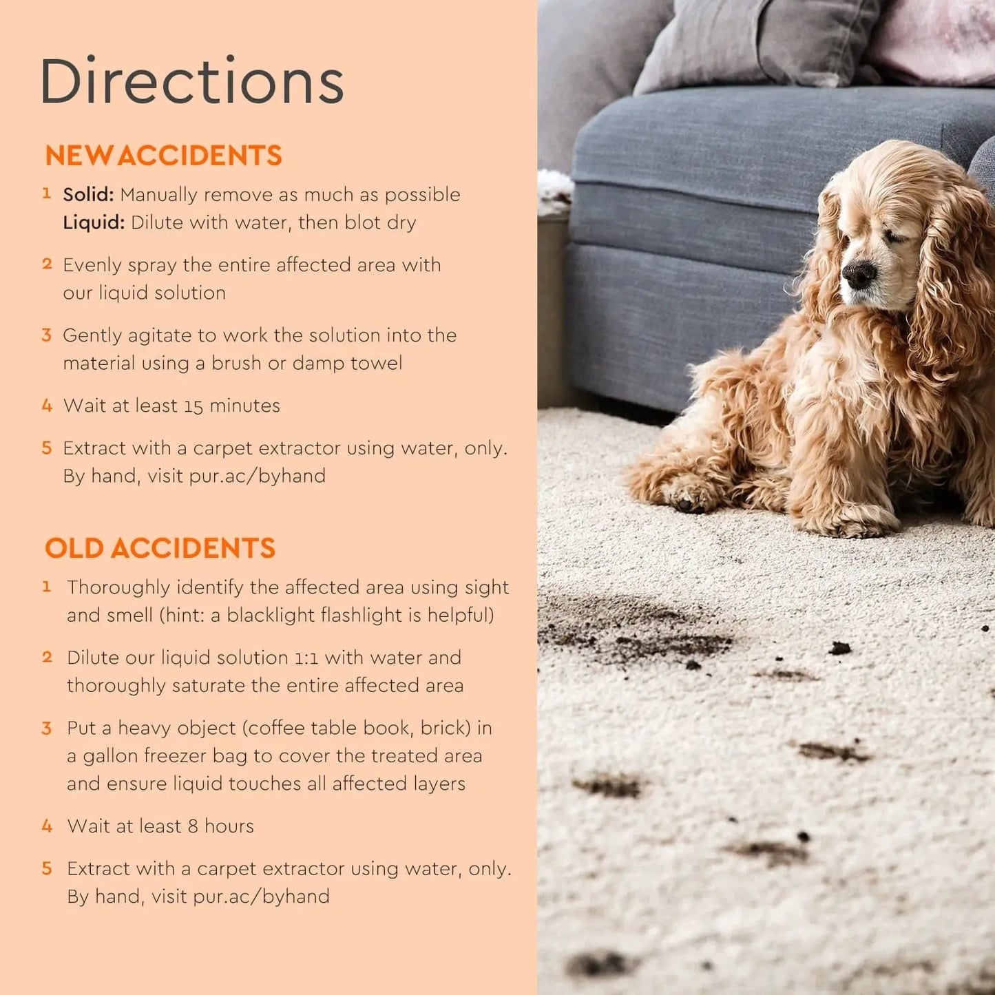 Pet Stain & Odor Remover from PriceLows™