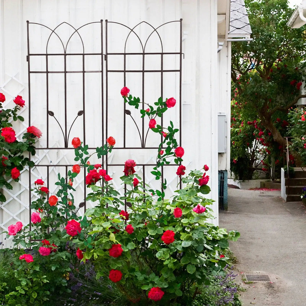 Metal Garden Trellis | Rustproof | 36.5 Inch Width | 71 Inch Height