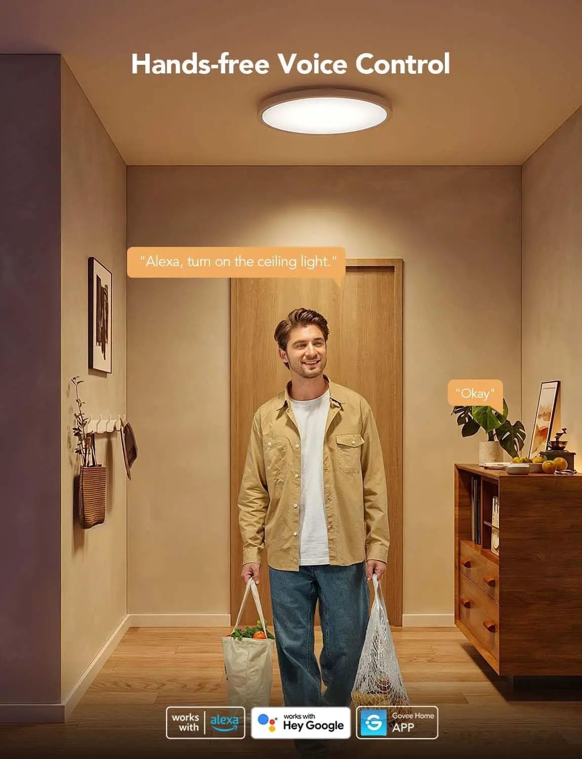RGBIC Smart Ceiling Light 12 Inch Alexa Compatible from PriceLows™