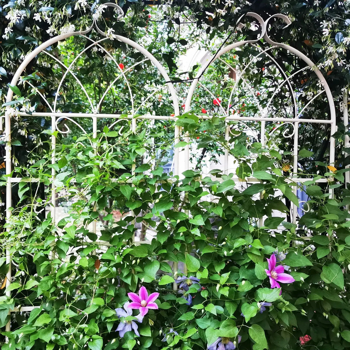 Metal Garden Trellis | Rustproof | 80 Inch Width | Single Or Double Use