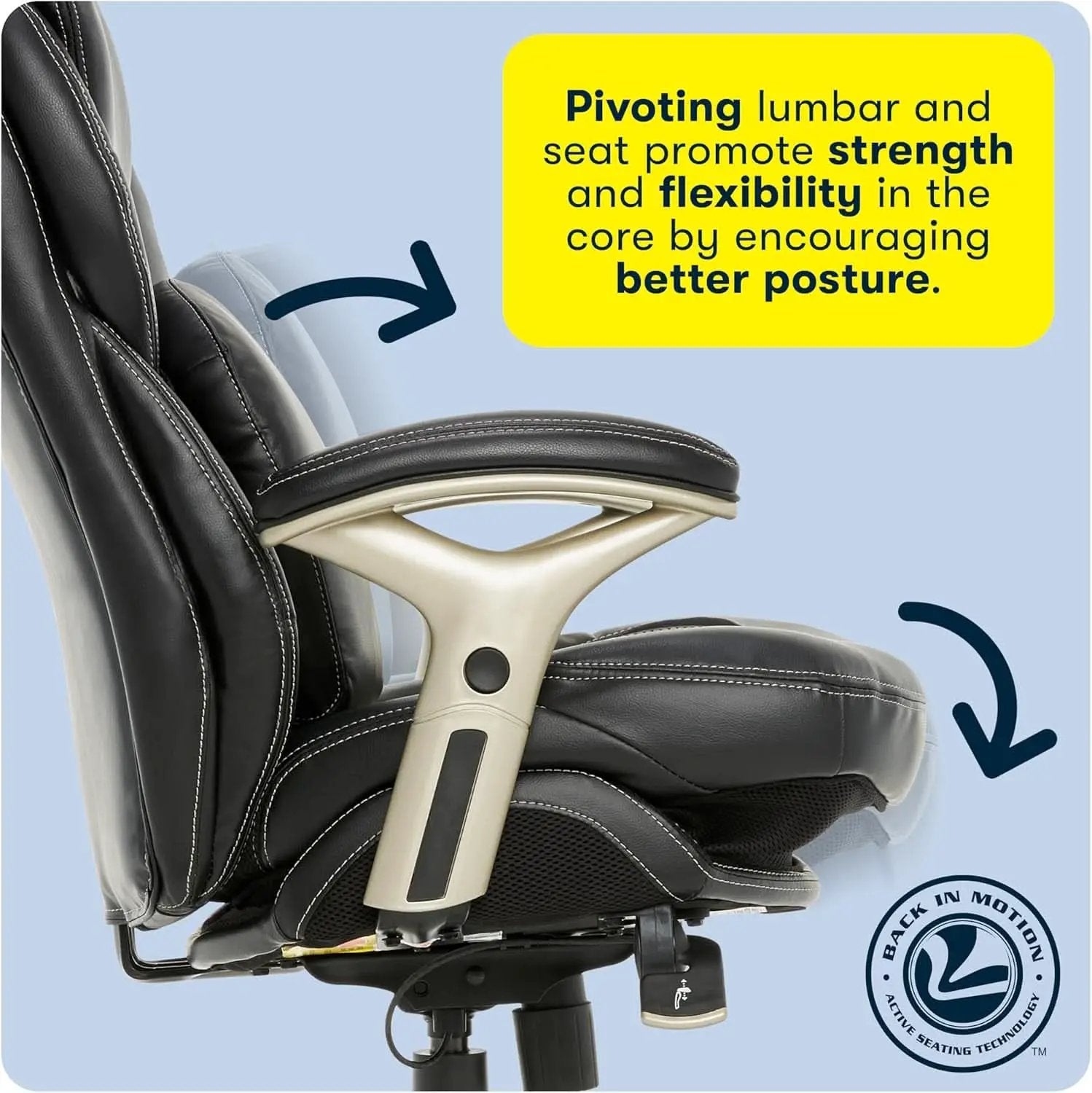 Ergonomic Office Chair Back In Motion Lumbar Support Black from PriceLows™