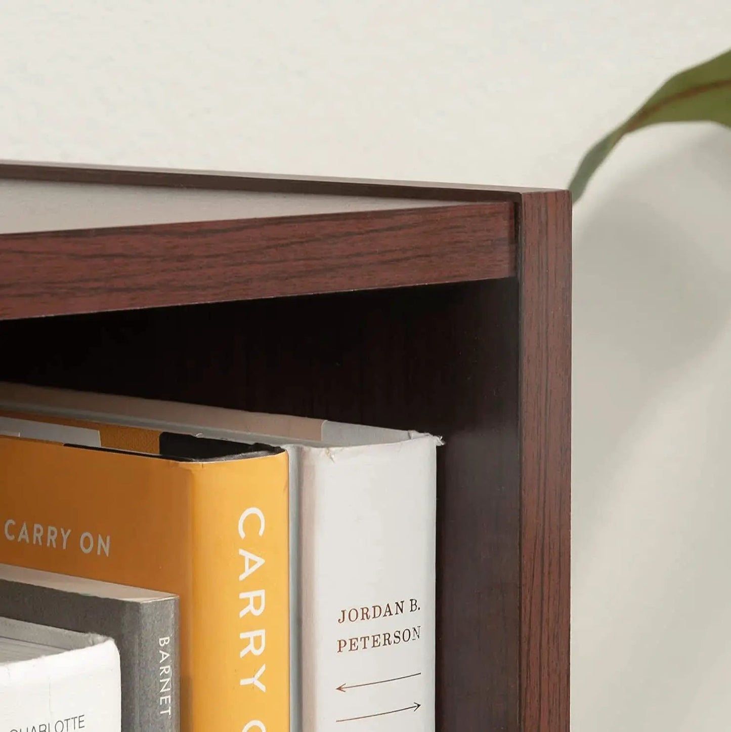 Beginnings 3 Shelf Bookcase In Brook Cherry Finish from PriceLows™