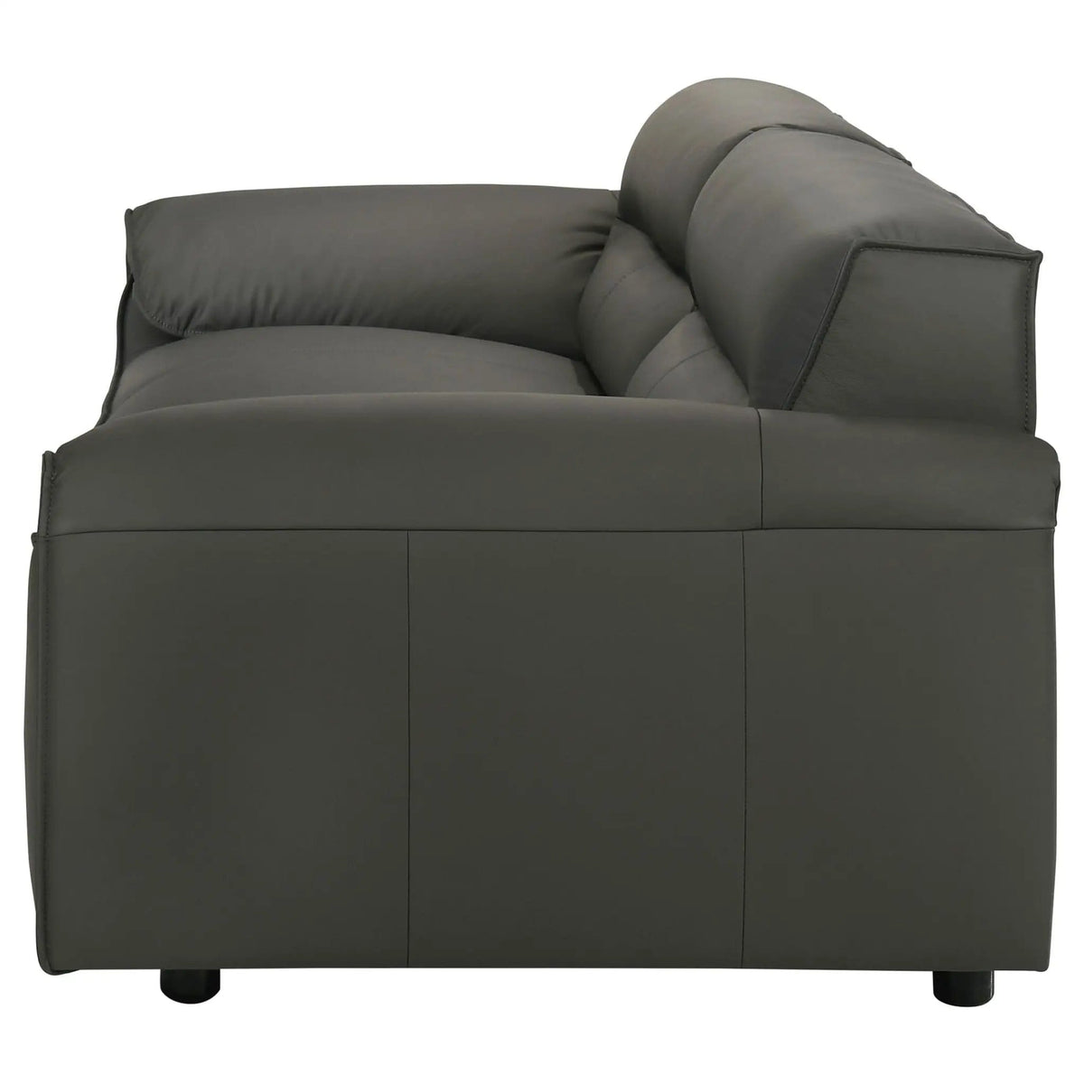 Buxton Top Grain Leather Upholstered Sofa Graphite | 91.25 x 37.5 x 29.5 in | Leather | Living Room