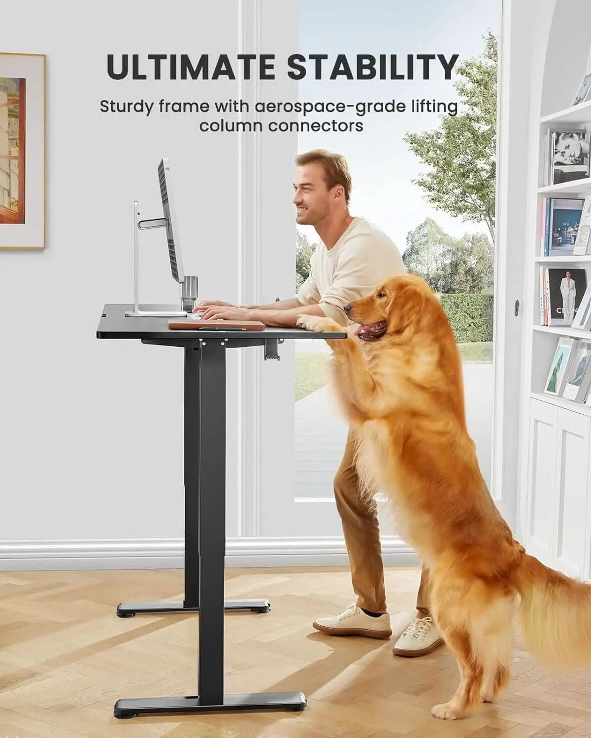 Height Adjustable Electric Standing Desk 48 X 24 Inches from PriceLows™