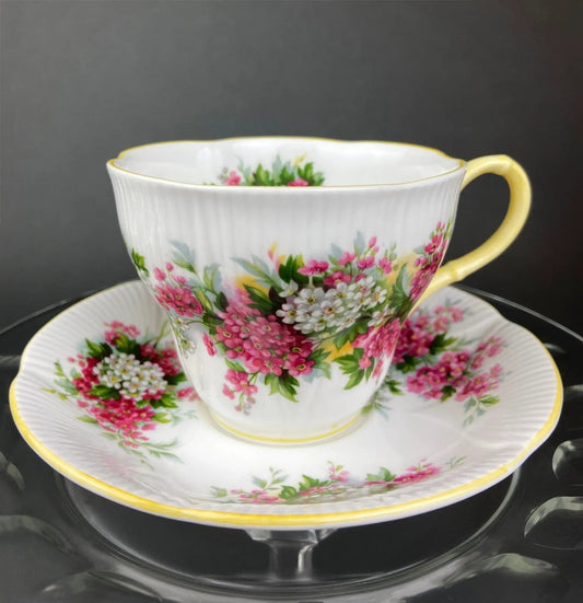 Vintage Royal Albert Cup and Saucer - Blossom Time Series | Hawthorn | Collectible Vintage | Collectors & Hosts