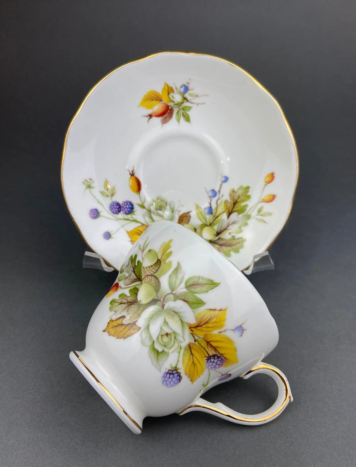 Duchess Fine Bone China Tea Cup and Saucer | Autumn Motif | Collectible Vintage | Collectors & Hosts