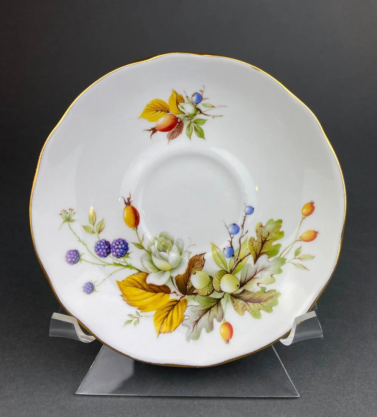 Duchess Fine Bone China Tea Cup and Saucer | Autumn Motif | Collectible Vintage | Collectors & Hosts