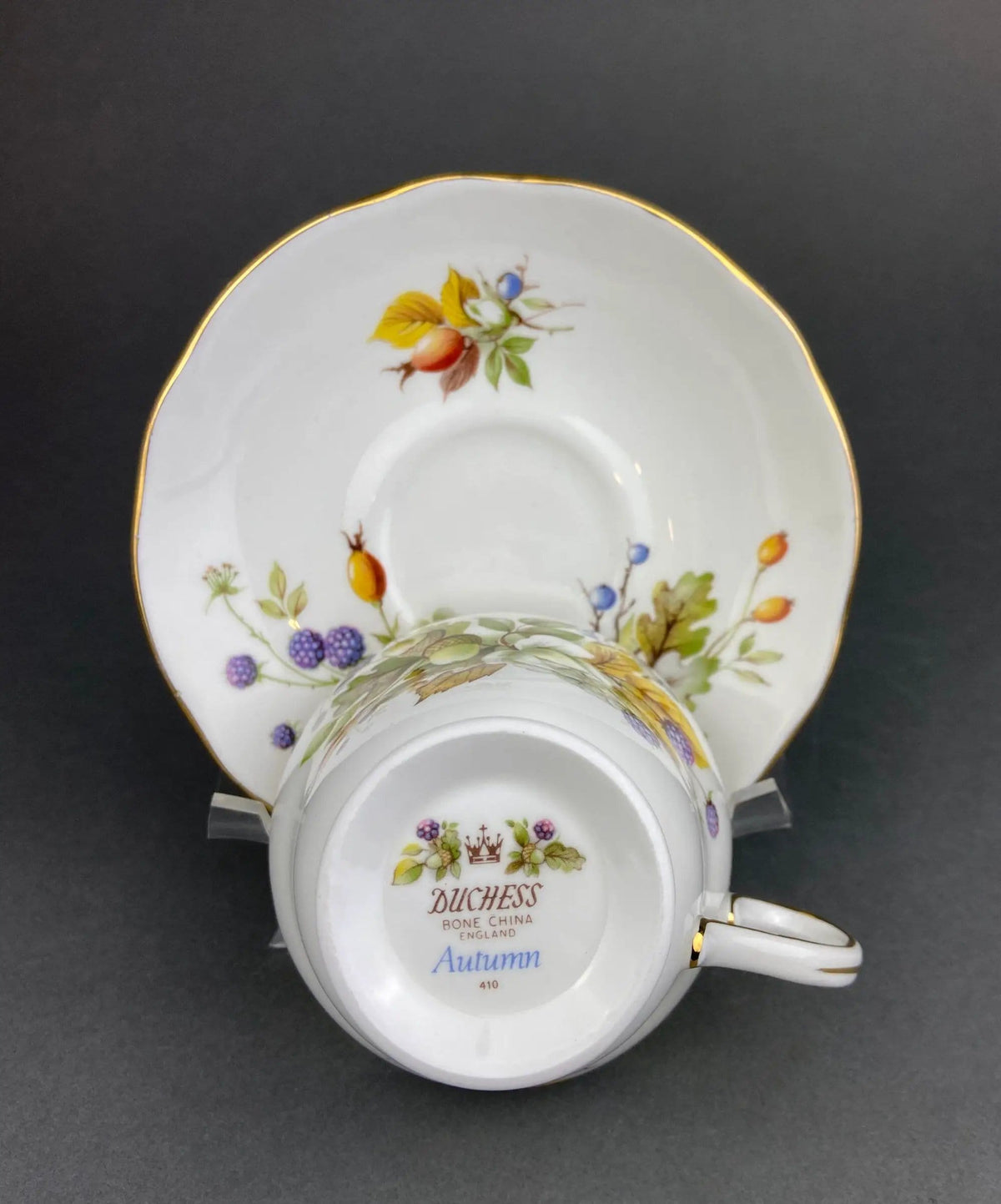 Duchess Fine Bone China Tea Cup and Saucer | Autumn Motif | Collectible Vintage | Collectors & Hosts